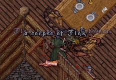tink6.jpg (28356 bytes)